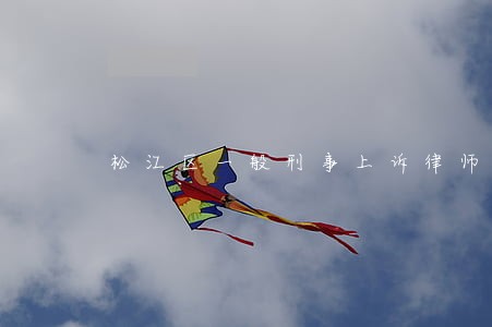 松江区一般刑事上诉律师电话
