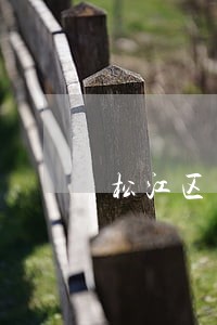 松江区专业离婚律师哪家好 松江区专业离婚律师哪家好