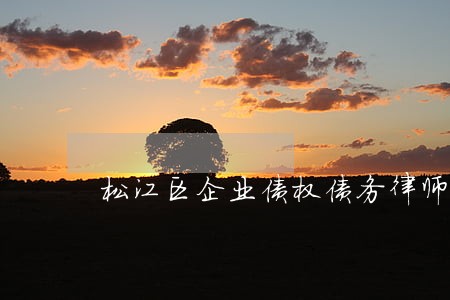 松江区企业债权债务律师
