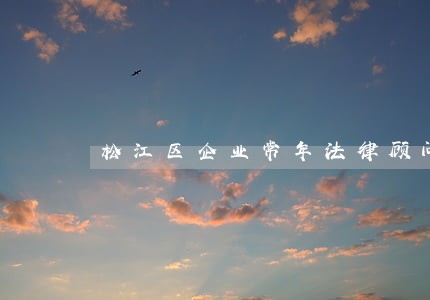 松江区企业常年法律顾问 松江区企业常年法律顾问