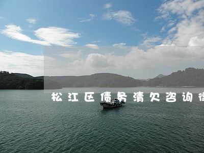 松江区债务清欠咨询律师 松江区债务清欠咨询律师