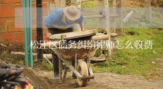 松江区债务纠纷律师怎么收费 松江区债务纠纷律师怎么收费