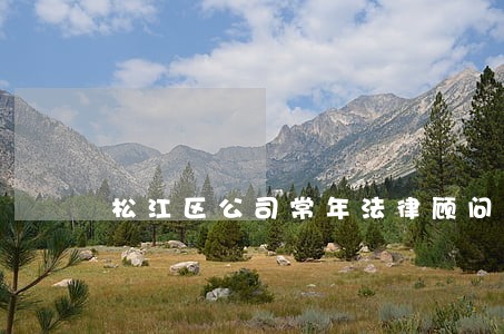 松江区公司常年法律顾问 松江区公司常年法律顾问