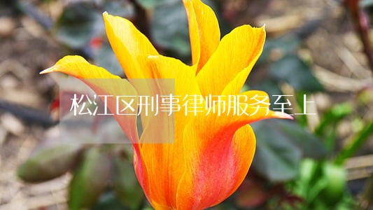 松江区刑事律师服务至上 松江区刑事律师服务至上