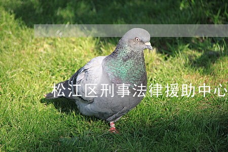 松江区刑事法律援助中心 松江区刑事法律援助中心
