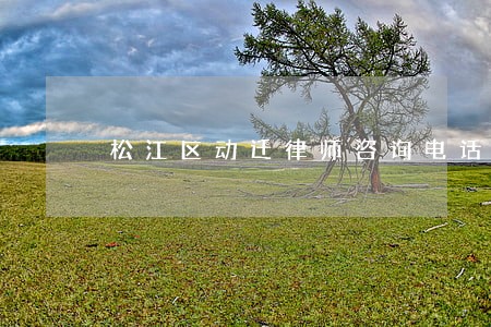 松江区动迁律师咨询电话 松江区动迁律师咨询电话
