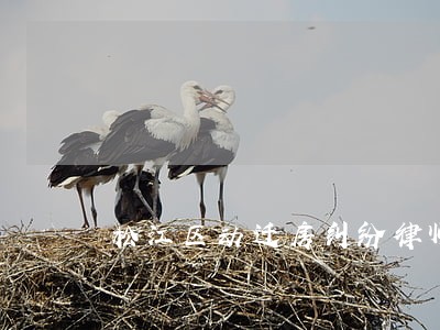松江区动迁房纠纷律师团队 松江区动迁房纠纷律师团队