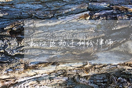 松江区动迁纠纷律师 松江区动迁纠纷律师