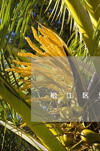松江区劳动合同请律师哪家好 松江区劳动合同请律师哪家好