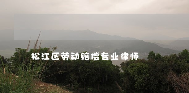 松江区劳动赔偿专业律师 松江区劳动赔偿专业律师