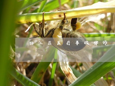 松江区医疗事故律师 松江区医疗事故律师
