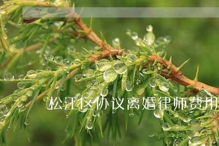 松江区协议离婚律师费用 松江区协议离婚律师费用