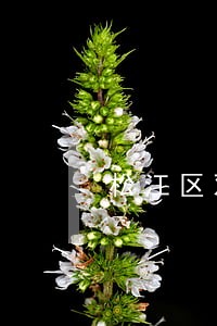 松江区双倍工资律师事务所