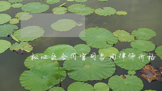 松江区合同官司咨询律师价格 松江区合同官司咨询律师价格