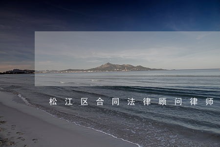 松江区合同法律顾问律师