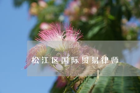 松江区国际贸易律师