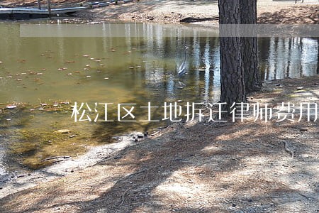 松江区土地拆迁律师费用 松江区土地拆迁律师费用