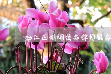 松江区婚姻债务律师服务 松江区婚姻债务律师服务