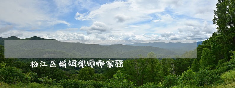 松江区婚姻律师哪家强 松江区婚姻律师哪家强