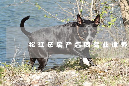 松江区房产合同专业律师收费情况 松江区房产合同专业律师收费情况