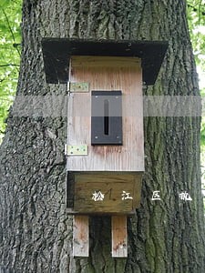 松江区执行异议案件律师联系方式 松江区执行异议案件律师联系方式