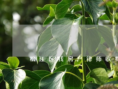 松江区找房产律师收费 松江区找房产律师收费