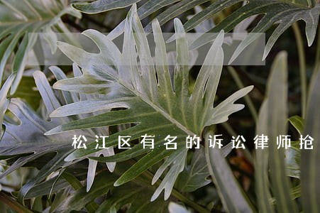 松江区有名的诉讼律师抢劫案 松江区有名的诉讼律师抢劫案