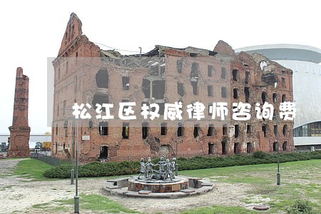 松江区权威律师咨询费 松江区权威律师咨询费