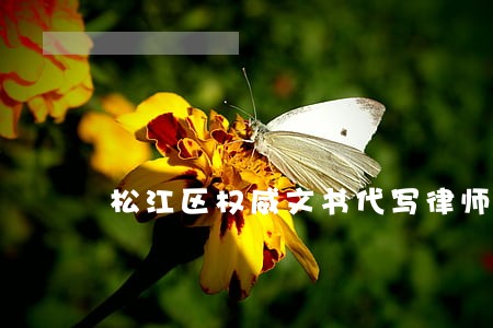 松江区权威文书代写律师报价 松江区权威文书代写律师报价