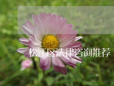 松江区法律咨询推荐