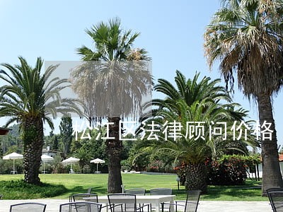 松江区法律顾问价格 松江区法律顾问价格