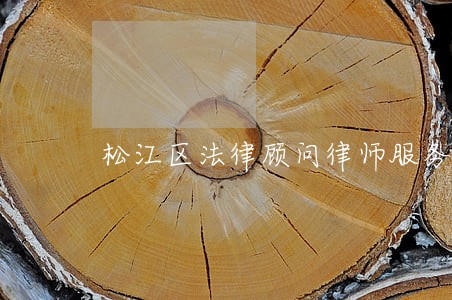 松江区法律顾问律师服务 松江区法律顾问律师服务