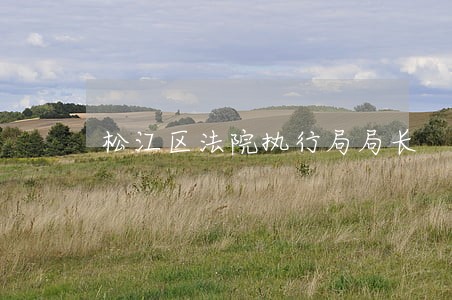 松江区法院执行局局长 松江区法院执行局局长