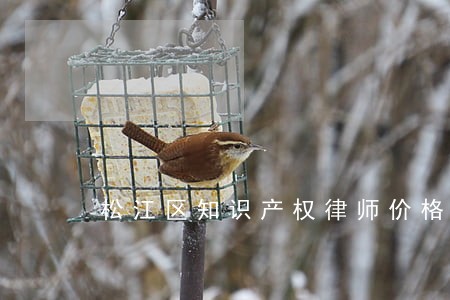 松江区知识产权律师价格 松江区知识产权律师价格