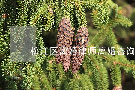 松江区离婚律师离婚咨询电话 松江区离婚律师离婚咨询电话