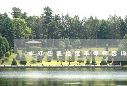 松江区离婚继承律师咨询平台 松江区离婚继承律师咨询平台