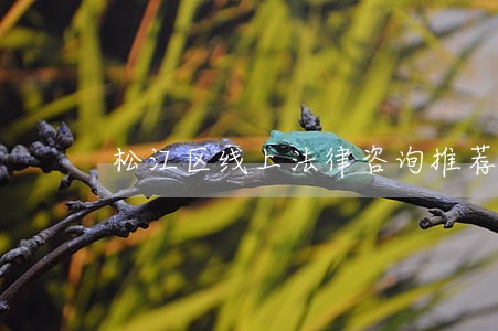 松江区线上法律咨询推荐