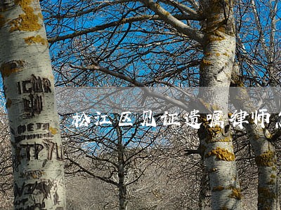 松江区见证遗嘱律师怎么收费 松江区见证遗嘱律师怎么收费