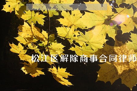松江区解除商事合同律师委托流程 松江区解除商事合同律师委托流程