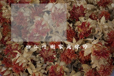 松江叶榭家庭律师 松江叶榭家庭律师
