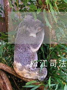 松江司法鉴定中心 松江司法鉴定中心