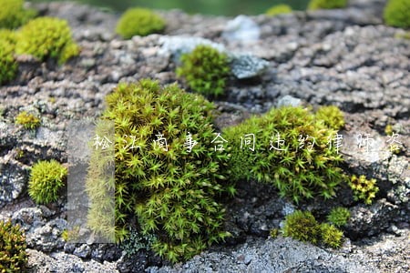 松江商事合同违约律师咨询 松江商事合同违约律师咨询