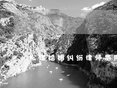 松江婚姻纠纷律师费用 松江婚姻纠纷律师费用