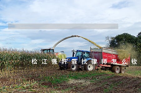 松江强奸罪找律师怎么收费 松江强奸罪找律师怎么收费