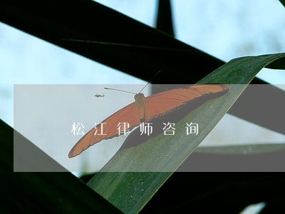 松江律师咨询 松江律师咨询