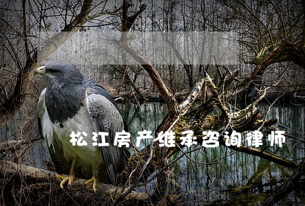 松江房产继承咨询律师 松江房产继承咨询律师