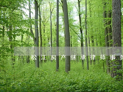 松江房产继承律师事务所 松江房产继承律师事务所