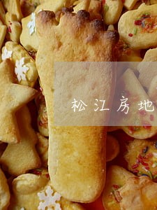 松江房地产纠纷律师 松江房地产纠纷律师