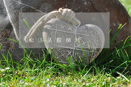 松江法院图片 松江法院图片