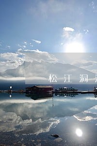 松江洞泾经济债务律师